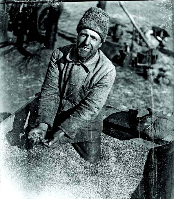 Лучший бригадир колхоза имени 1 Мая Феничева, райцентр Синельниково Днепропетровской, 1932 год