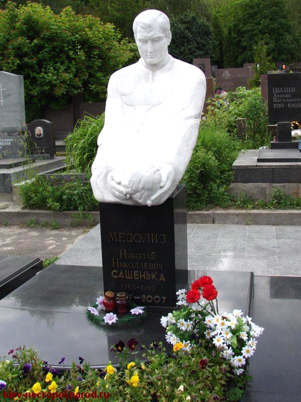 Памятник Николаю Медолизу