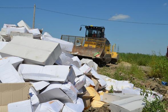 Уничтожение сыра в Белгородской области