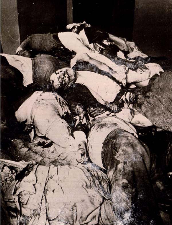 Трупы расстрелянных заключенных в камере тюрьмы на Лонцкого. Львов, 1 июля 1941 года. Некоторые такие камеры немцам пришлось замуровать, чтобы избежать эпидемии. Повторную эксгумацию провели в феврале 1942 г., когда ударили морозы. Архив ЦИОД