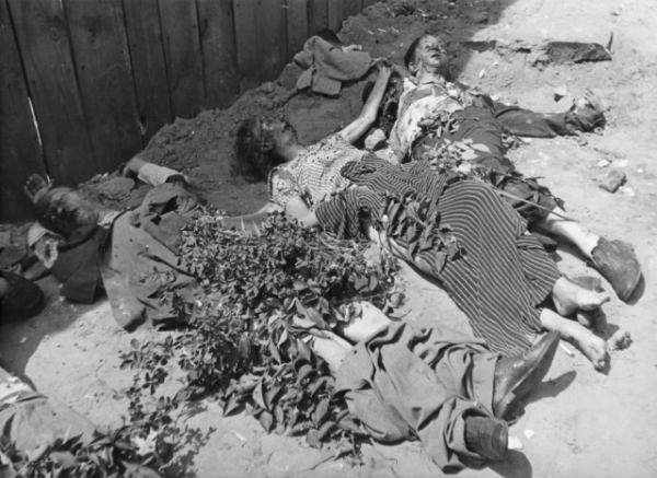 Тела замученных НКВД в одной из львовских тюрем. Фото Музея Холокоста в Вашингтоне