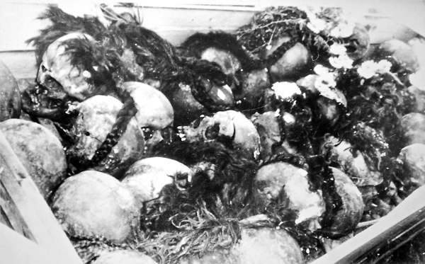 Демьянов Лаз. Женские косы, вынутые из второй могилы с черепами