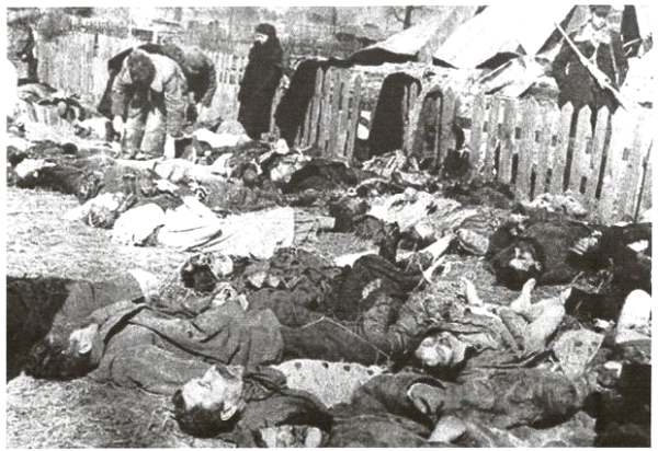 Тела убитых поляков УПА в селе Липники в Костополь района на Волыни, 26 марта 1943 (Фото Mark Skorupski / FORUM) 