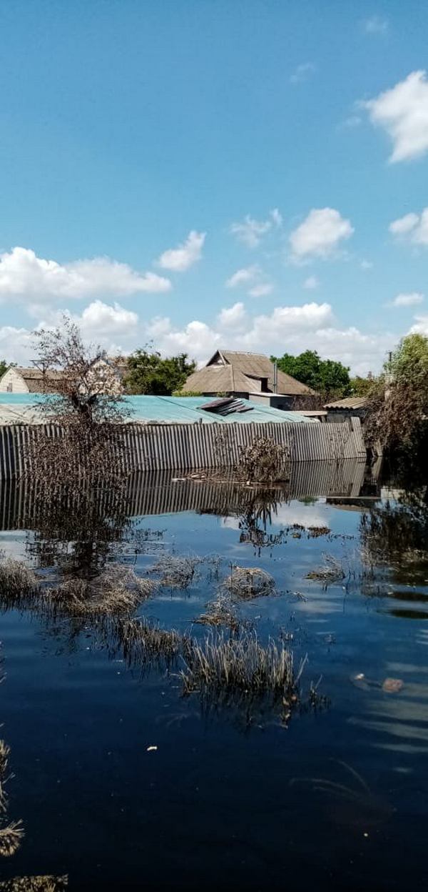 Затоплені по самий дах будинки олешківців. Фото місцевих мешканців