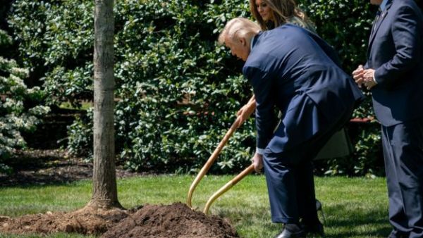 Фото дня  Трамп посадив дерево біля Білого дому з нагоди Дня Землі /GETTY IMAGES