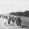 Голодные крестьяне покидают село в поисках еды в городе. 1933 г.