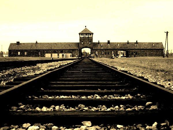 Фото:  Анастасия Гулей  Дорога в Освенцим