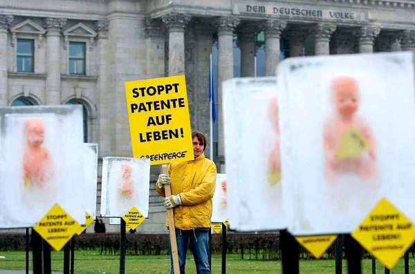 Гринпис протестует против использования  эмбриональных клеток