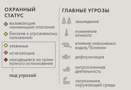 Как сохранить статус