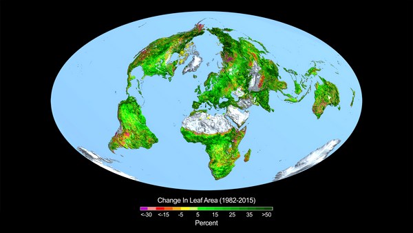 Прирост площади листвы в 1982–2015 годах