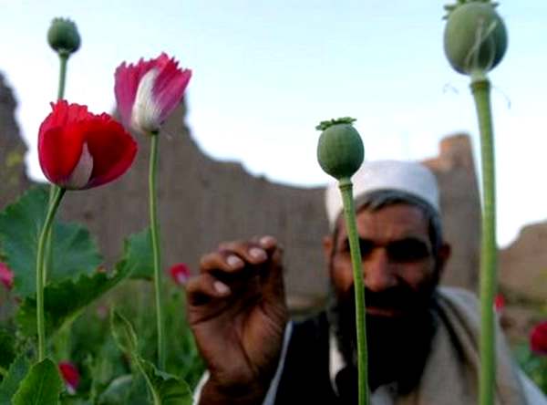 Неизбежность победы «Талибана»