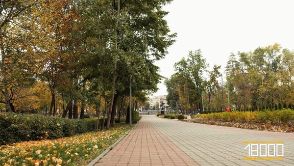 Алея в парку «Соборний» у Черкасах