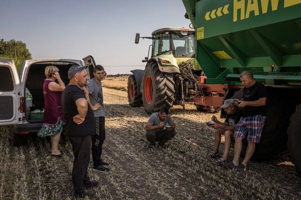 Фермери обідають під час збору врожаю на пшеничному полі біля міста Біла Церква на Київщині, 4 серпня 2023 року. Фото: Ed Ram/Getty Images