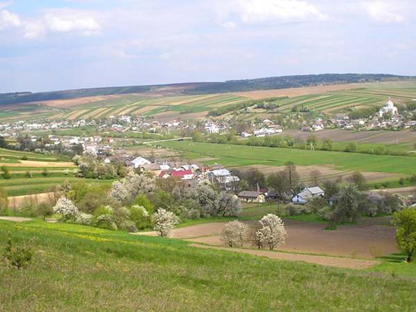 Панорама села Шибалин на Бережанщине, откуда происходит Галина Дидык: