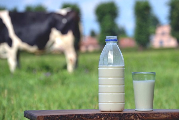 Фото Насыщенные жирные кислоты в молоке отличаются от насыщенных жирных кислот в