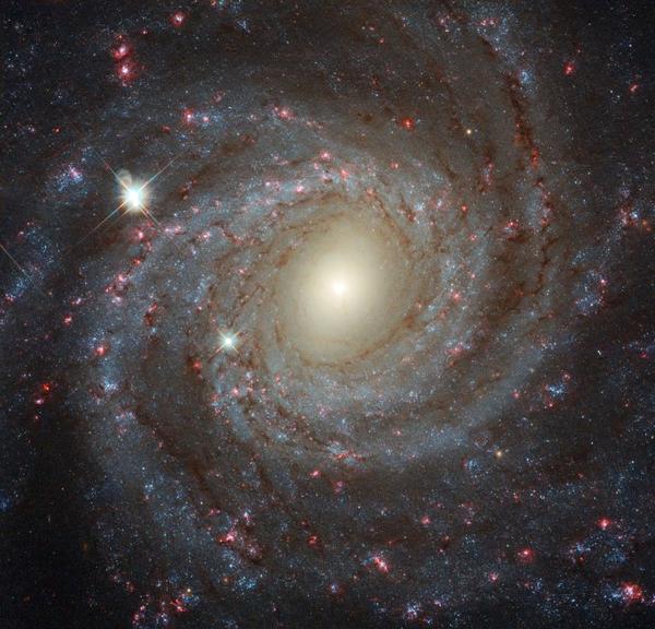 Фото дня Галактика NGC 3344 
