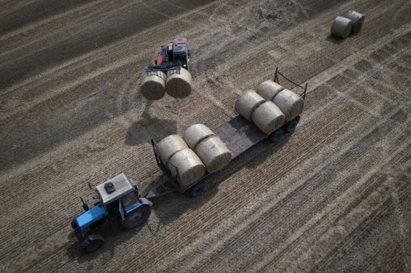 Селяни вивозять тюковану солому. 10 серпня 2023 року, Київська область. AP Photo