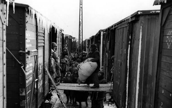 Фото:  DR. Перенос груза польских репатриантов из советских ширококолейных вагон