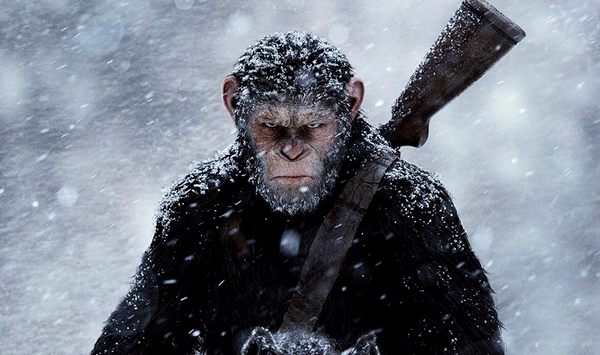 Фото:   «Война за планету обезьян» Мэтта Ривза