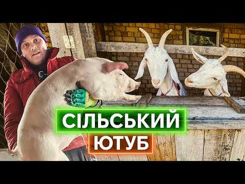 Смотреть видеоролик