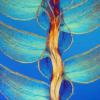 Листья растения Selaginella. доктор Дэвид Мэтилэнд, Великобритания. Увеличение: 40х 