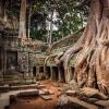 Древний город Ангкор, Камбоджа