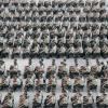 Более 2 000 военизированных полицейских принимают участие в учениях в Нанкине