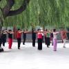 Символический синхронный танец под музыку в Бэйхай-парке.