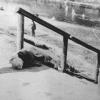 Жертва Голодомора. 1933 г.
