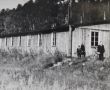 Фото:  Один из бараков лагеря после окончания Второй мировой войны