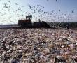Фото:  сміття в Україні