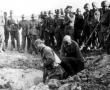 Фото:  Пленные красноармейцы роют себе могилы, 1941