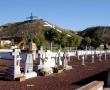Фото:  Кладбище в Паракуэльосе, где покоятся расстрелянные 80 лет назад представ