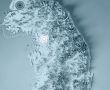Фото:  