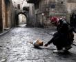 Фото:  Боец FSA подкармливает кота в Алеппо (фото Muzaffar Salman)
