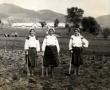 Фото:   Микуличин, 1950-е годы. Колхозницы окучивают свеклу
