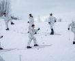 американські військові на навчаннях в Норвегії вчаться ходити на лижах