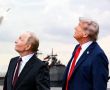 Фото:  