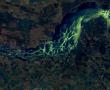Фото:  Спутниковый снимок. Каневское водохранилище, лето 2017 года