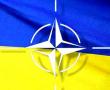 Фото:  украина - НАТО