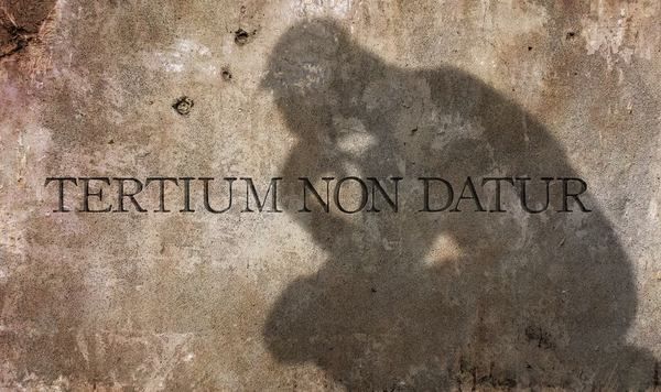 Фото:  Tertium non datur 