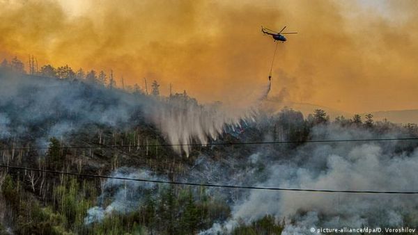 Фото:  Тушение лесного пожара на Камчатке, 2020 год