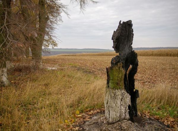 Фото:  «ЧАСОВОЙ ЭКОЛОГИИ» / ФОТО АЛЕКСАНДРА КОСАРЕВА