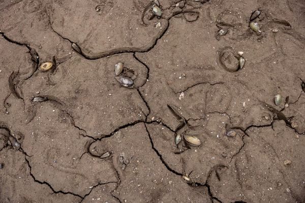 Фото:  Водний терор російських загарбників