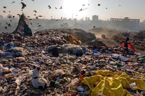 Фото:  Пластик убивает нашу планету