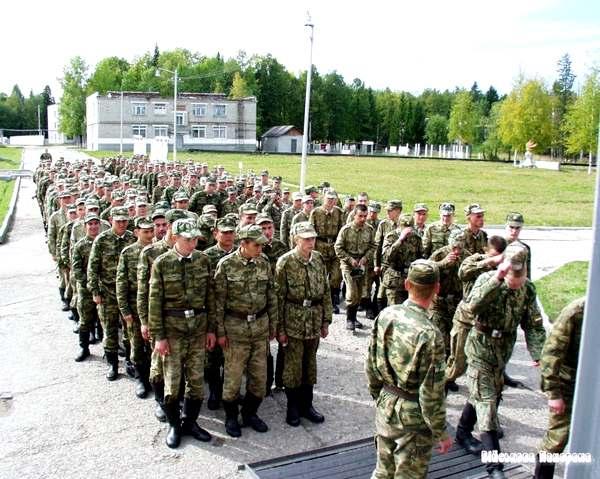 Реформа украинской армии похожа на капитуляцию перед Россией