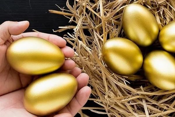 Фото:  Як яйця для ЗСУ стали золотими