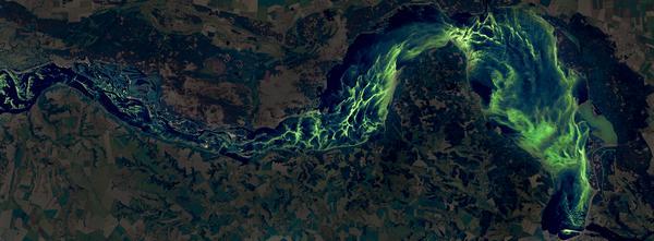 Фото:  Спутниковый снимок. Каневское водохранилище, лето 2017 года