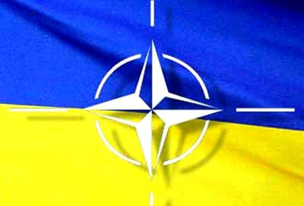 Фото:  украина - НАТО
