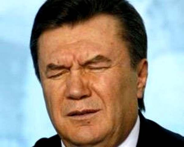 Фото:  Янукович и предел глупости